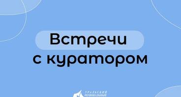 Встречи с кураторами