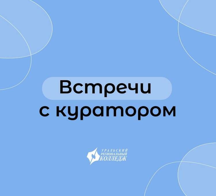 Встречи с кураторами
